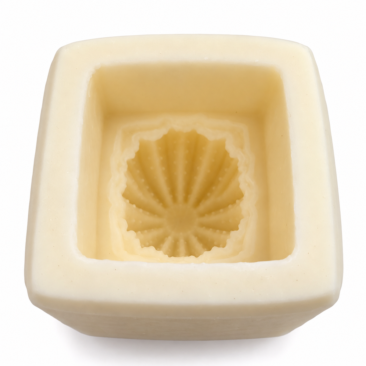 Top view of the square base recess and ribbed cactus cavity inside the silicone mould