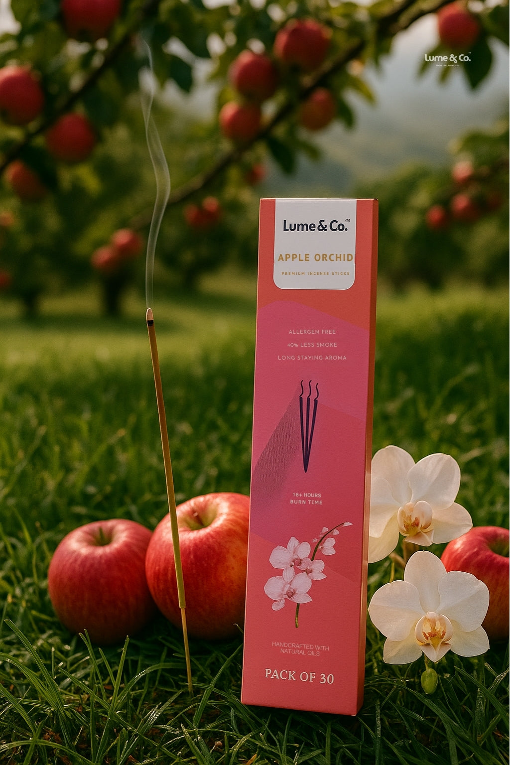 Apple Orchid Incense Sticks - Pack of 30 by Lume & Co. | incense for home fragrance, product image 4 of 6