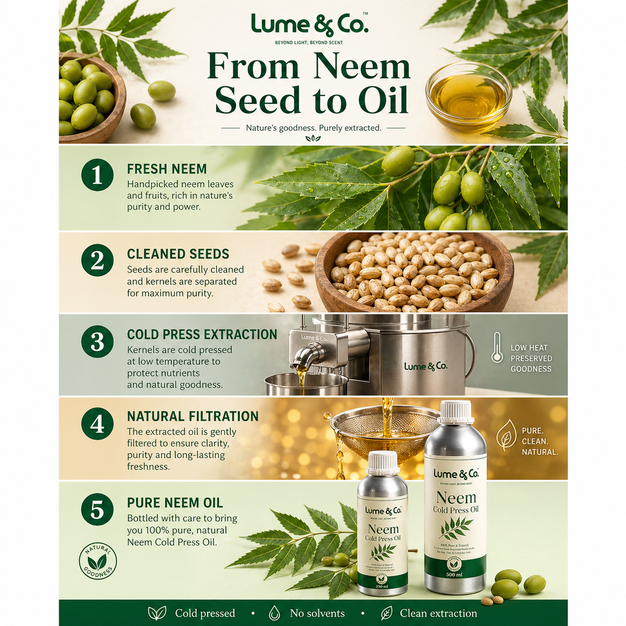 Lume & Co. 100 Natürliches kaltgepresstes Neemöl | Pures natürliches Neemöl für Haut, Haar, Seife & DIY-Formulierungen