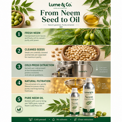 100 Natural Neem Cold Pressed Oil by Lume & Co. | oil for DIY formulations, product image 8 of 11