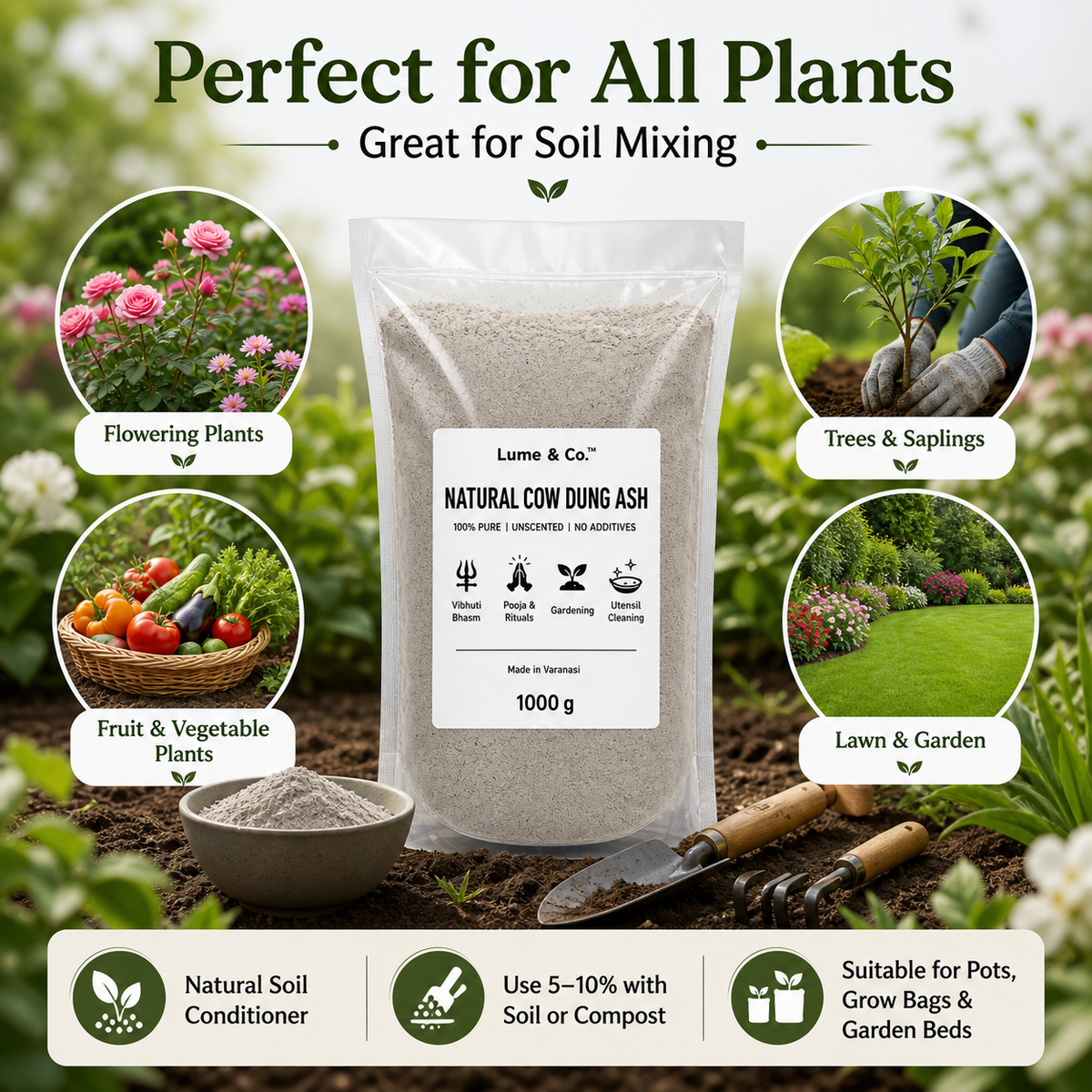 Natural Cow Dung Ash Powder for Vibhuti Bhasm, Pooja, Rituals, Gardening & Utensil Cleaning